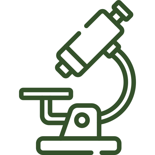 Alt Image